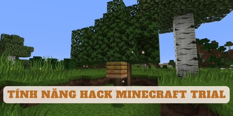 Ảnh 1 của TẢI HACK MINECRAFT TRIAL 1.19.11.01 (MỞ KHÓA ĐẦY ĐỦ) minecraft-trial-mod-apk